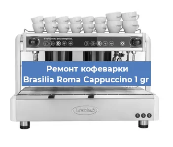 Ремонт кофемашины Brasilia Roma Cappuccino 1 gr в Челябинске